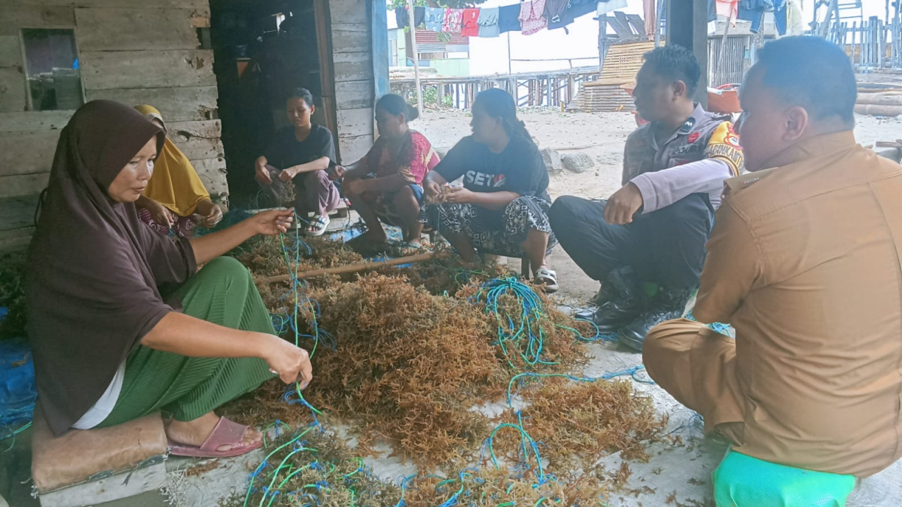 Dekat dengan Rakyat: Lurah Lembang dan Bhabinkamtibmas Tinjau Aktivitas Rumput Laut di Biring Kassi