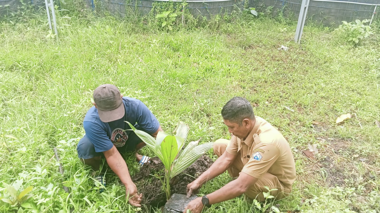 Gerakan TOSIBALLA: Penanaman Bibit Pohon Hibrida dan Tanaman Produktif di Halaman Kantor Kelurahan Lembang sebagai Wujud Inovasi Lingkungan Berkelanjutan