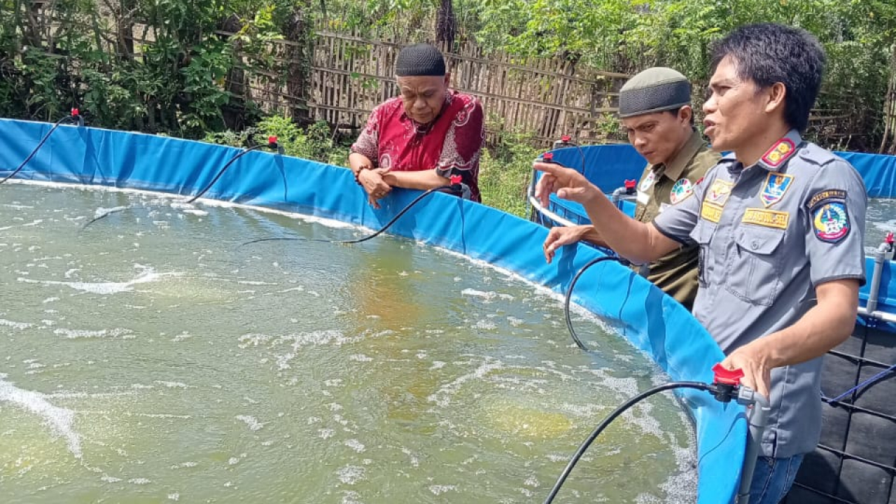 BUM Desa Samaturu Mangepong Kembangkan Budidaya Ikan Nila Sistem Bioflok untuk Ketahanan Pangan