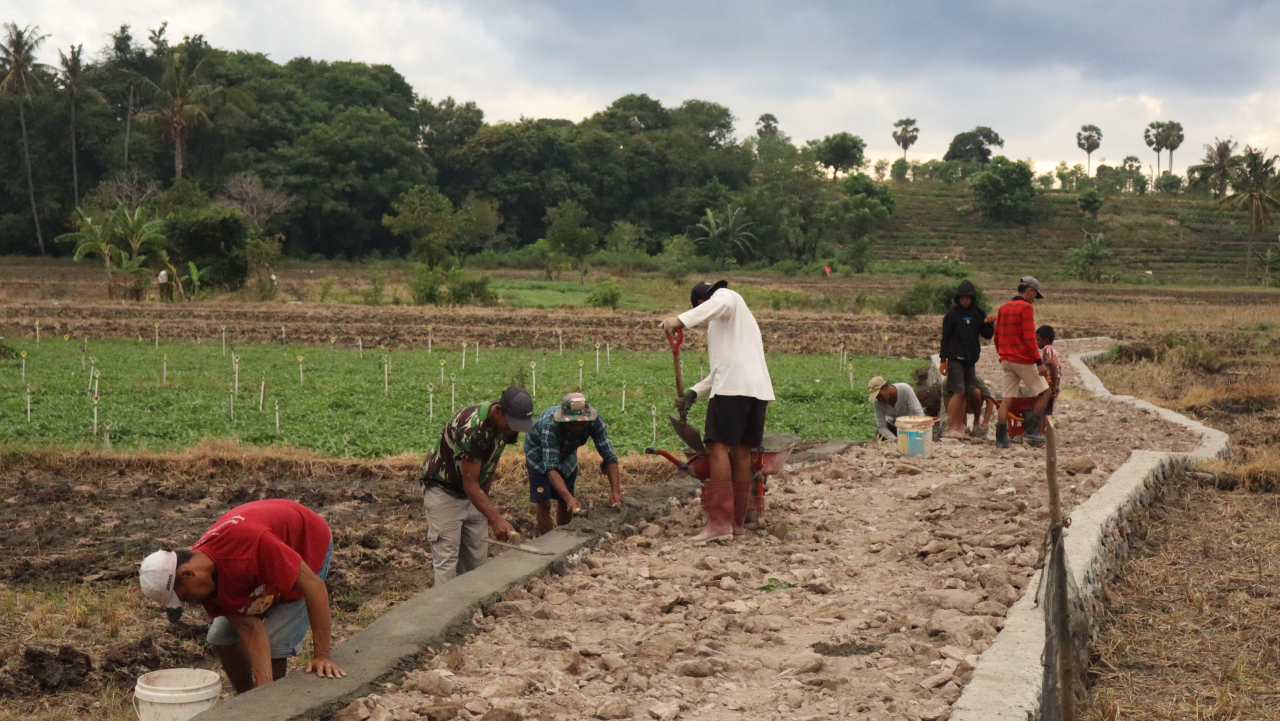 Gotong Royong Pembuatan Jalan untuk Mempermudah Masyarakat Akses ke Sawah