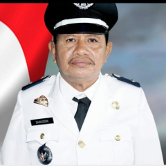 Shorts va porno qizlar