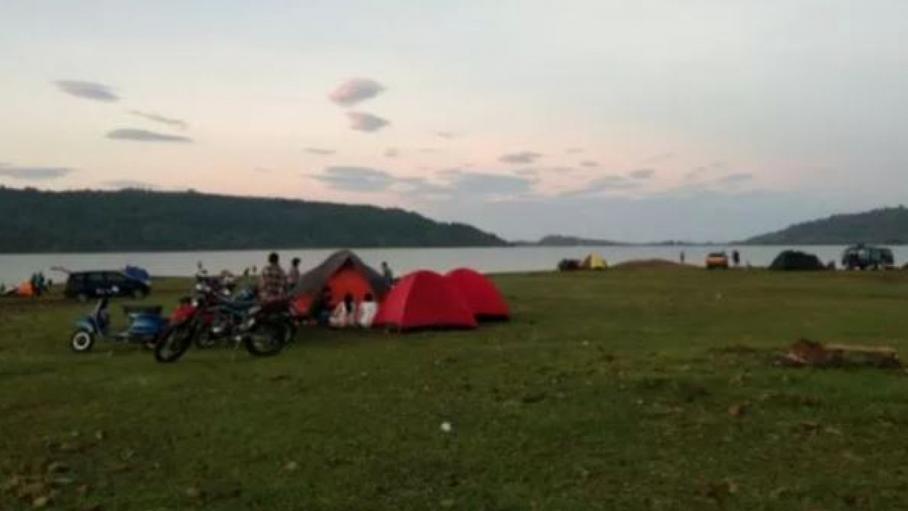 Jungle Camp
