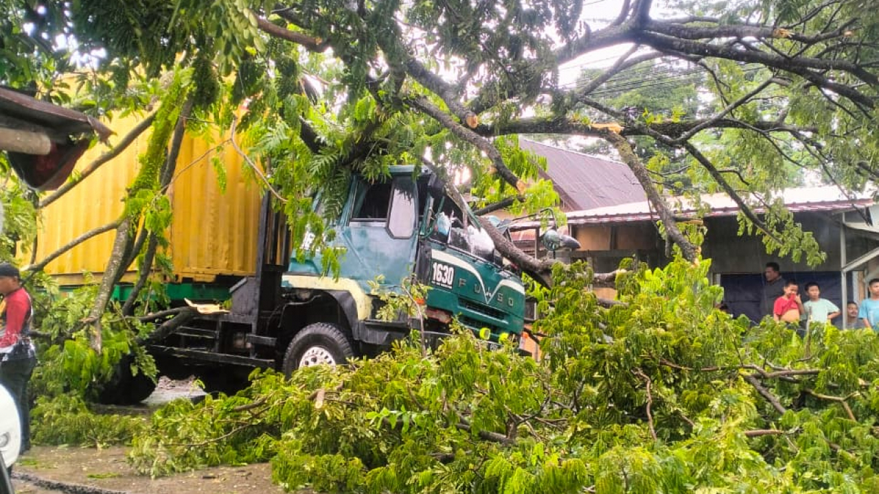 Hujan Deras di Gowa, Pohon Tumbang Timpa Truk Kontainer di Desa Nirannuang