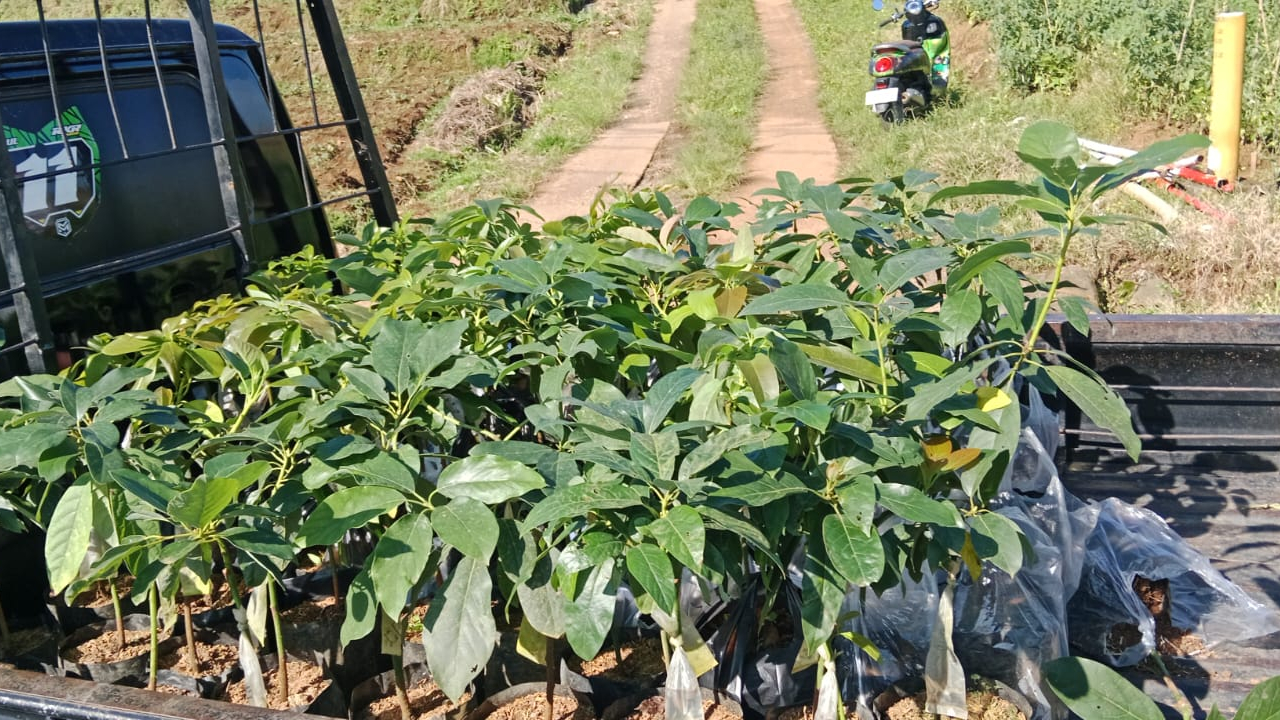 Ekonomi Desa Tonasa Gowa Bergeliat, Potensi Lokal Jadi Andalan