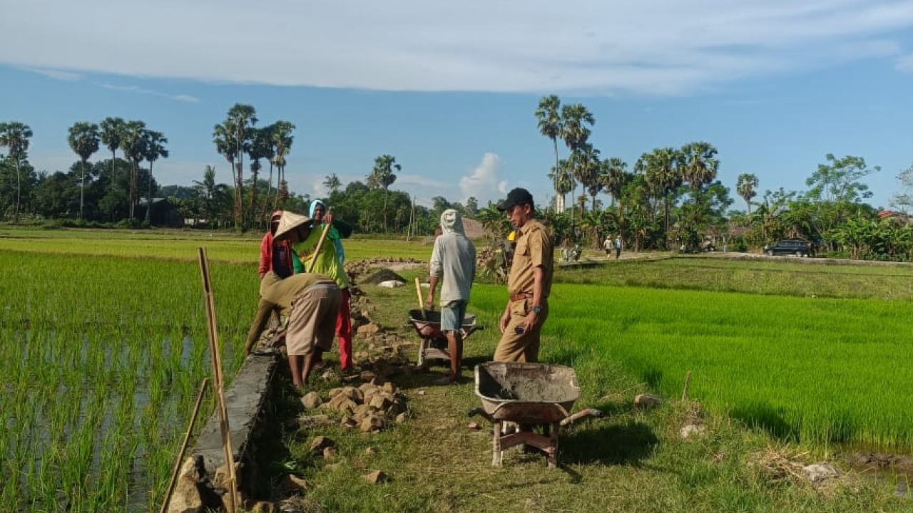 Pengerjaan Jalan Tani di Desa Pabundukang, Kecamatan Bontonompo Selatan, Kabupaten Gowa