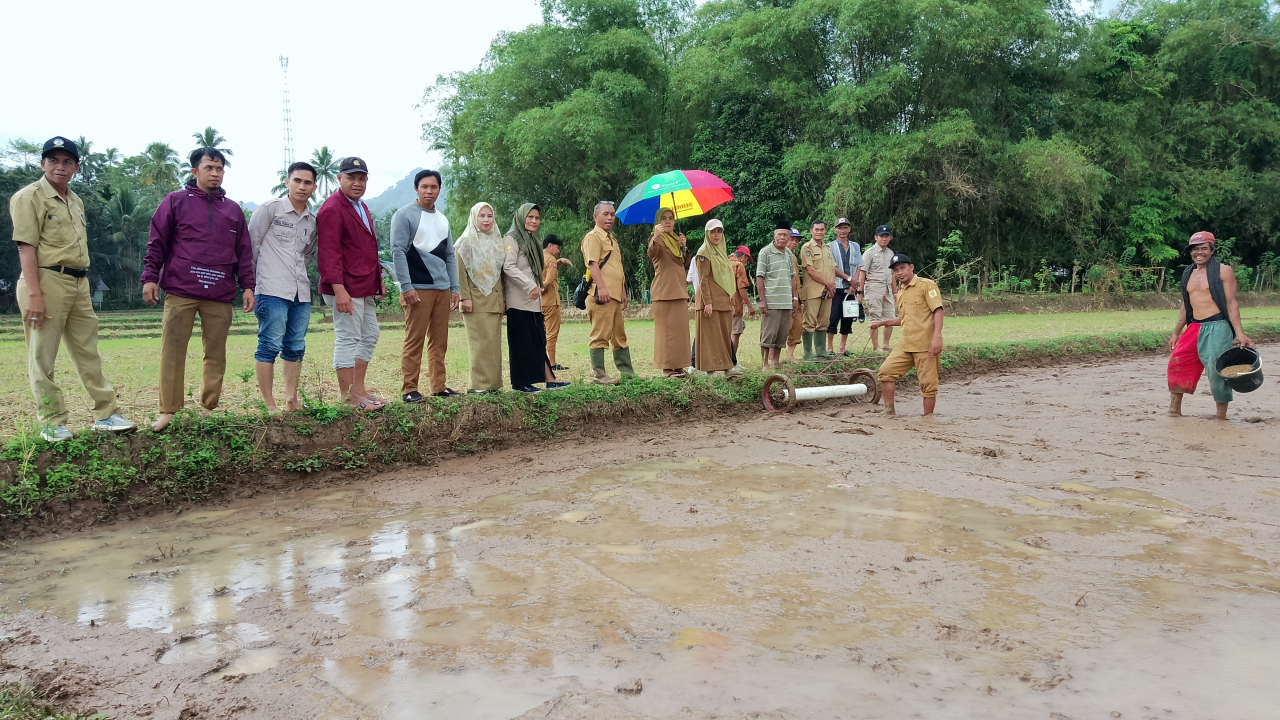 Program Tanam