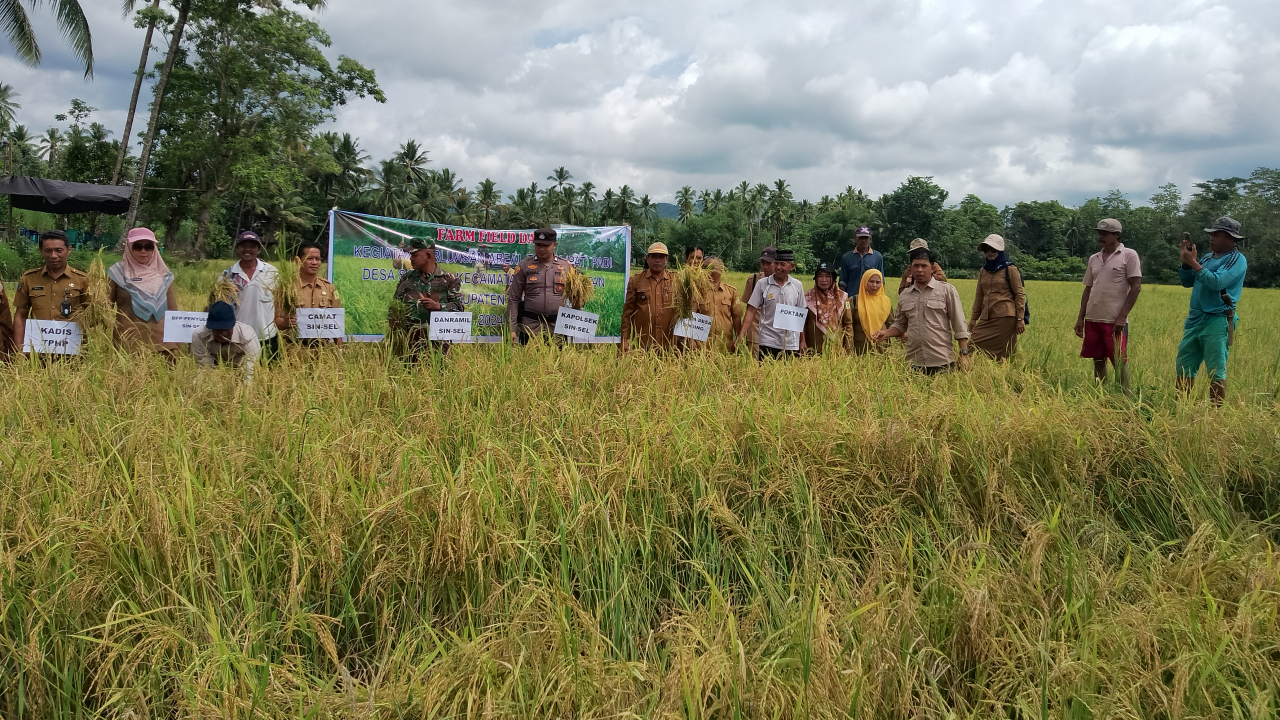 Lumbung Padi
