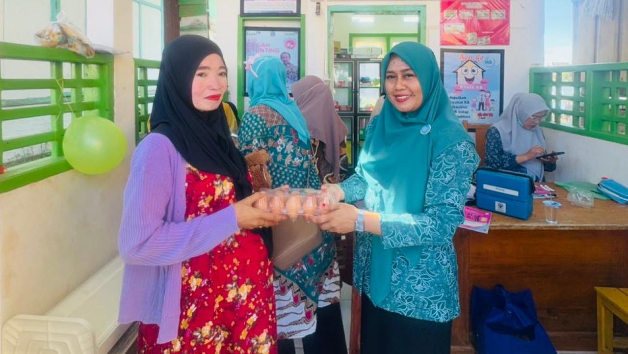 Posyandu dan Pemberian PMT Ibu Hamil di Desa Massangkae