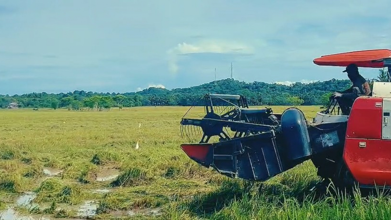 Potensi Pertanian
