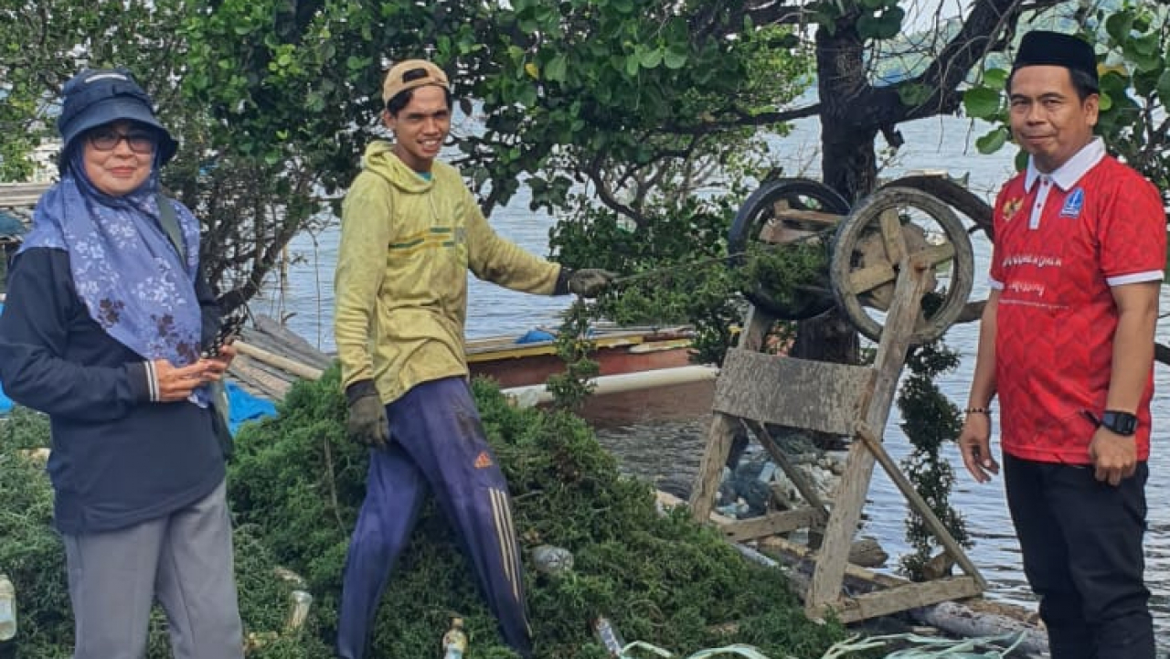 “Gerak Ekonomi dari Laut: Budidaya Rumput Laut Libatkan Semua Generasi di Togeo”
