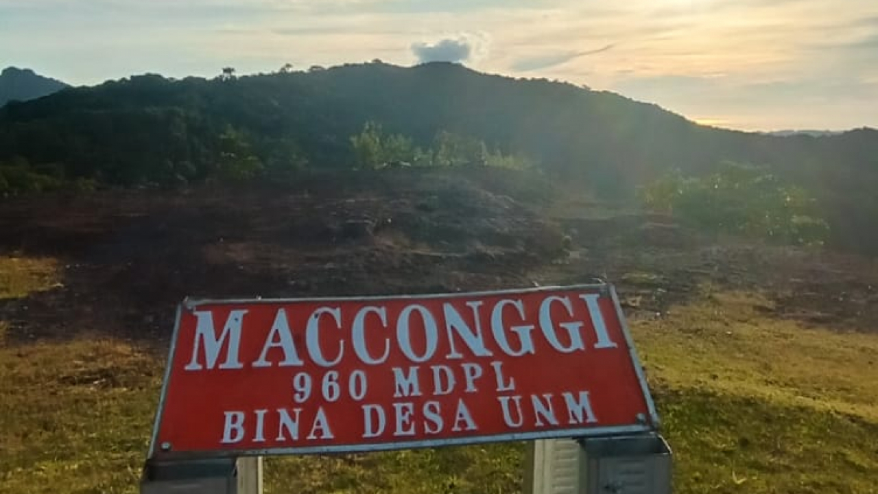 MACCONGGI
