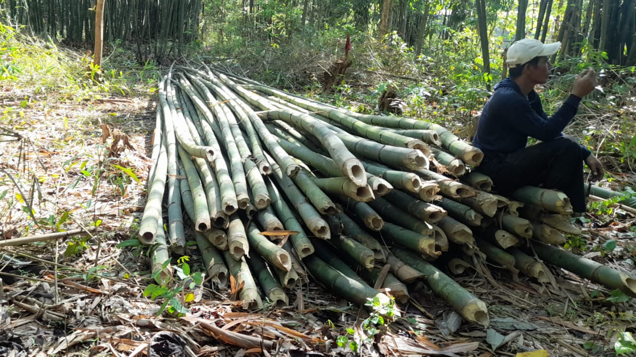 Kebun Bambu