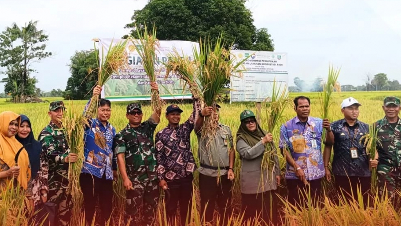 Kegiatan Panen Demplot LKP