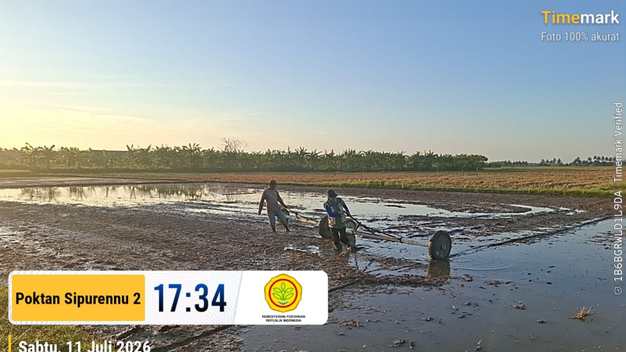Tak Lagi Bergantung pada Persemaian, Petani Corawali Bersiap Gunakan Drum Seeder dalam Program PM-AAS