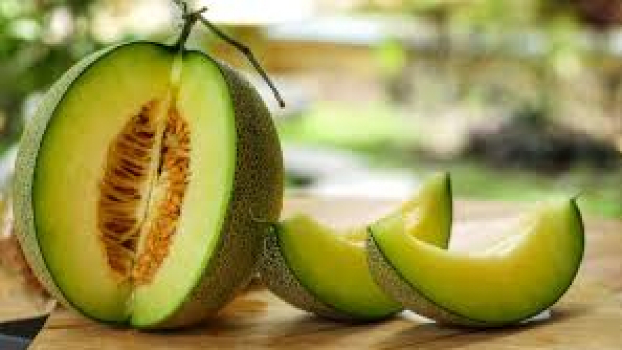 MELON