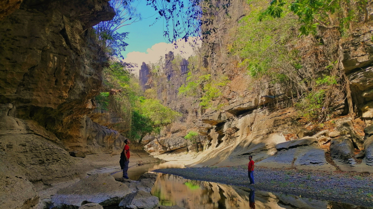 Batu Mallopie