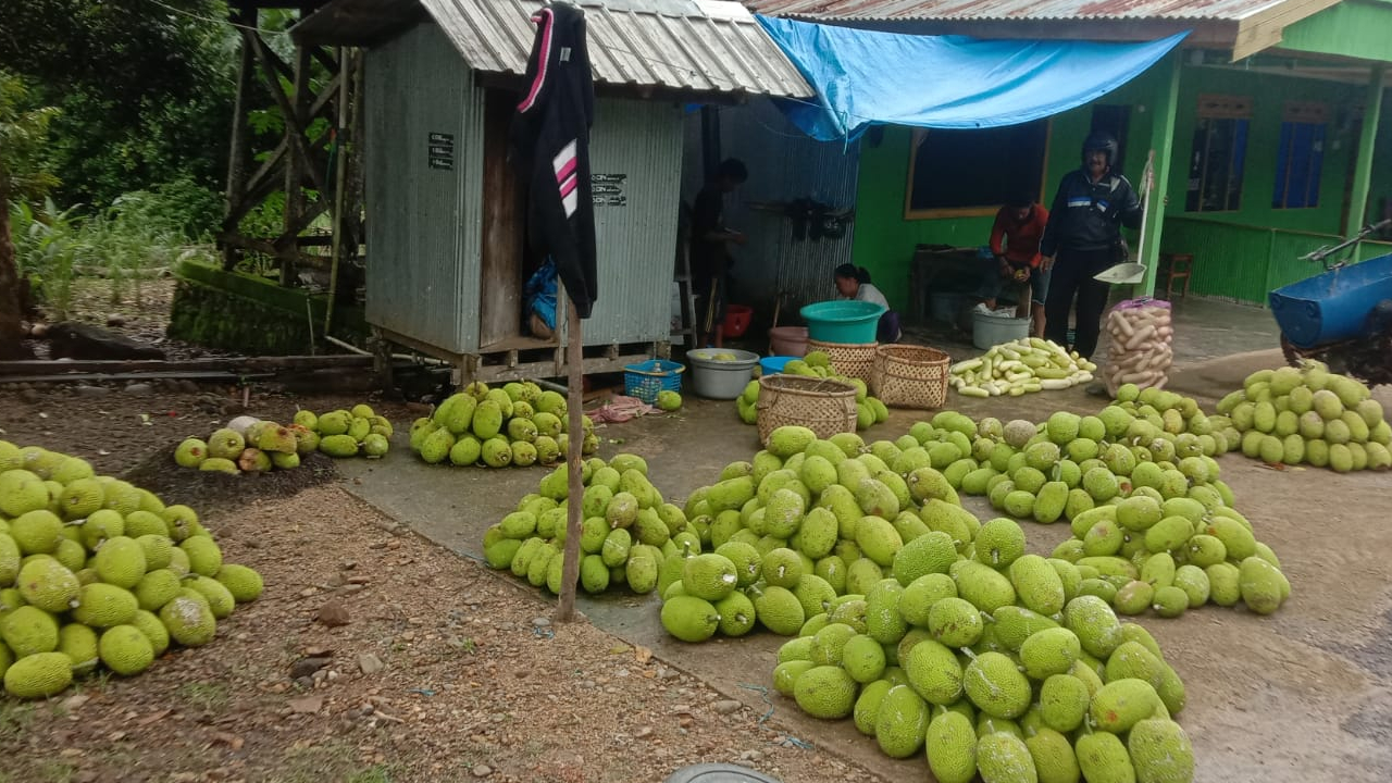 PUSA JUAL HASIL BUMI (Buah Sukun)