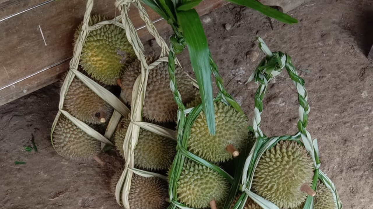 Hasil Bumi Buah Durian