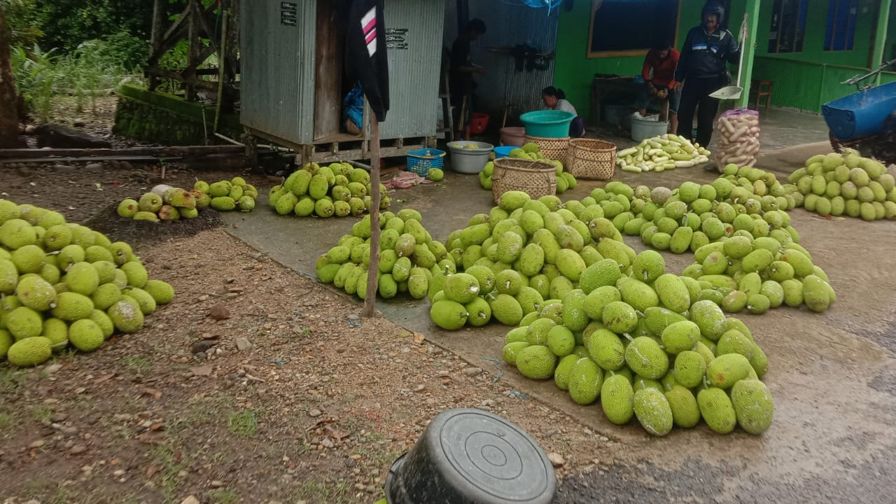 Pasa Paddare program unggulan Desa Lasitae.