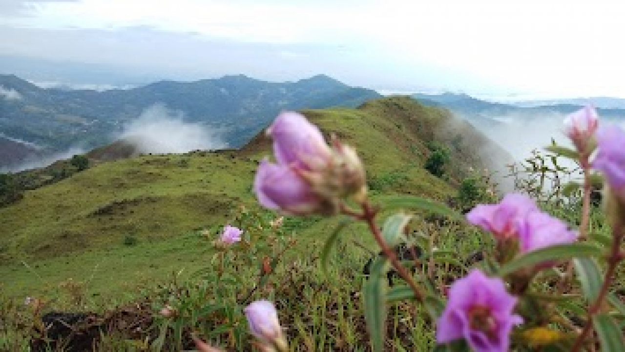 Bukit Bonto Payung