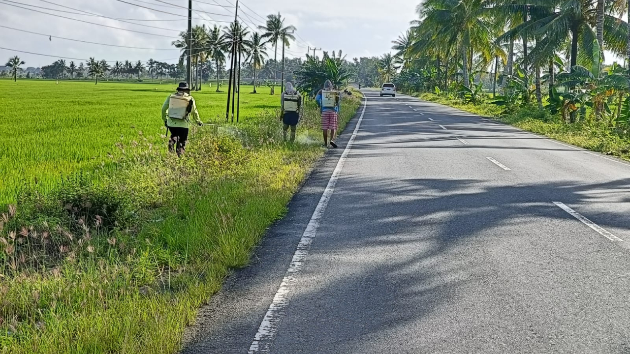 Warga Desa Tonralipue Lakukan Gotong Royong Penyemprotan Jelang HUT RI
