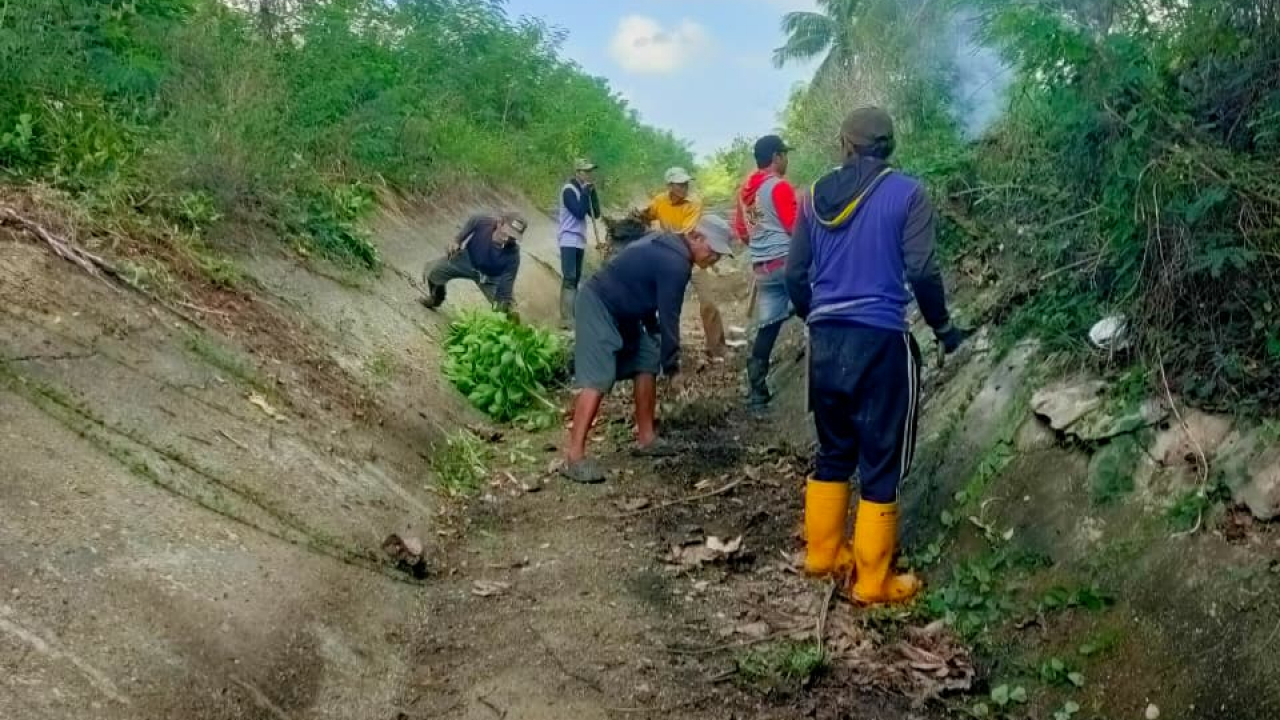 Gotong Royong Petani Tonralipue Jelang Penyaluran Air Bendungan Bila Kalola
