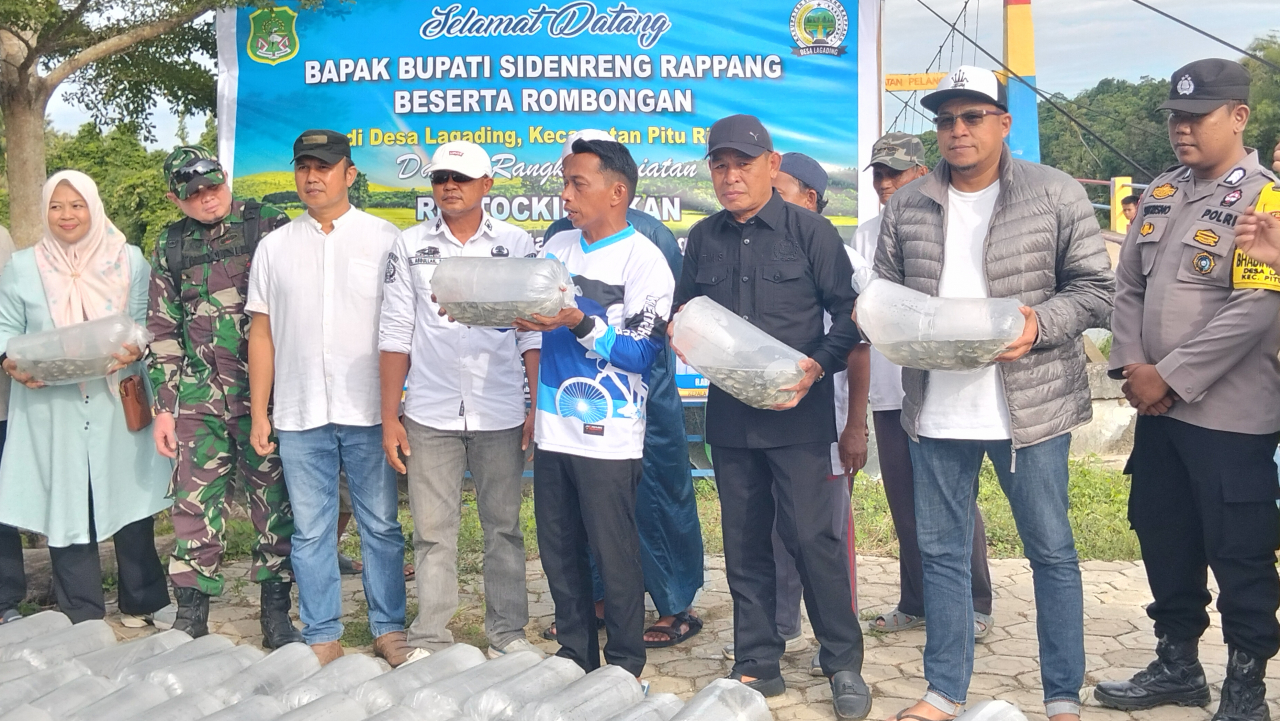 PELEPASAN 100.000 EKOR BENIH IKAN NILA DI WADUK LAGADING, BUPATI SIDRAP HADIRI LANGSUNG ACARA RESTOCKING