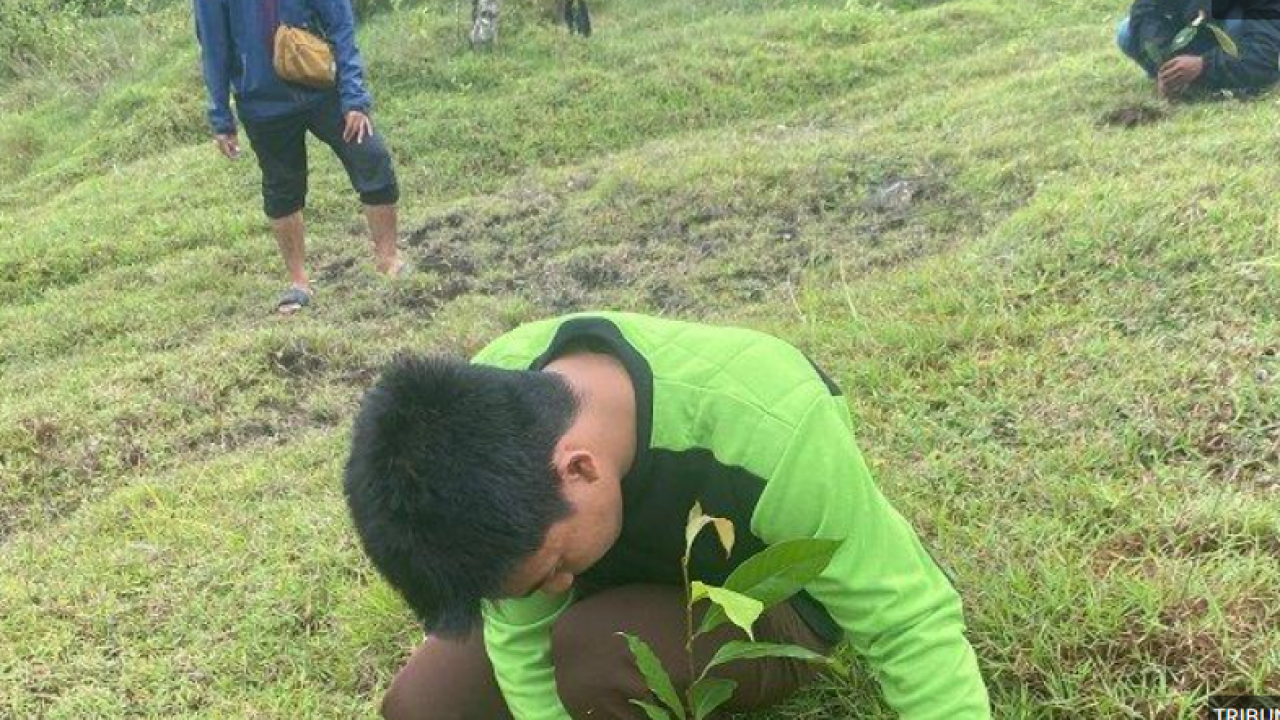 Rayakan Milad Dua Tahun, Basmala Unimen Tanam Pohon di Mendatte Park Enrekang