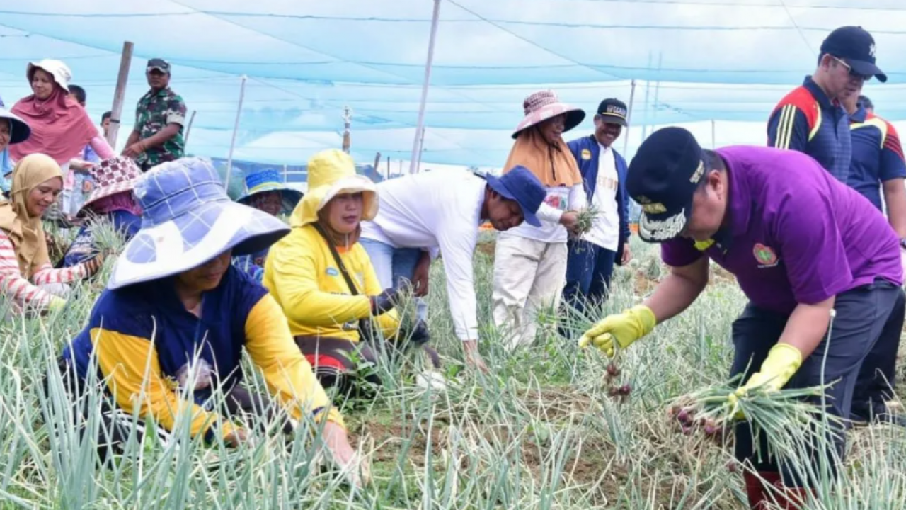 Petani bawang di Enrekang antusias sambut kedatangan Pj Gubernur Sulsel