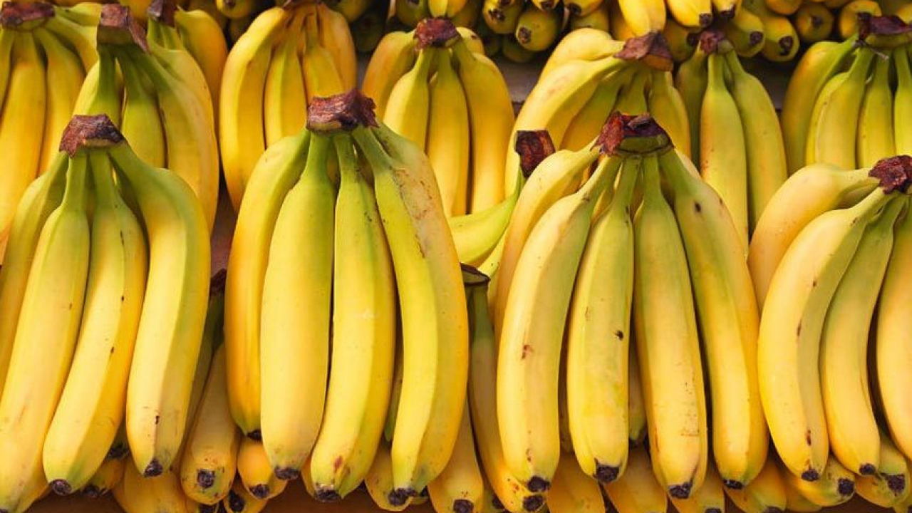 Pisang
