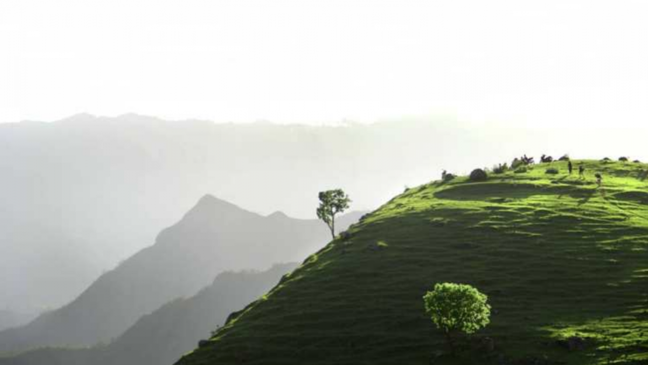Bukit Miallo