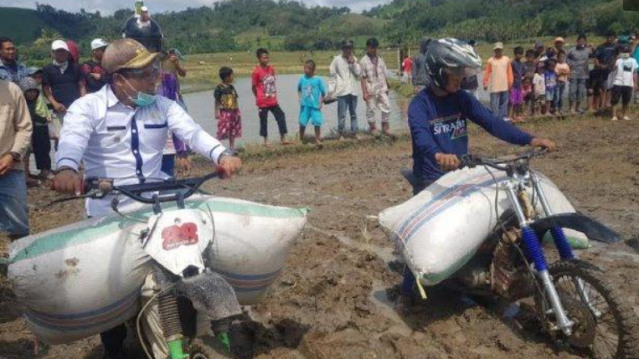 Hadiri Pesta Panen Padi di Desa Cemba, Wakil Bupati Enrekang Ikut Lomba Balap Taksi Gabah
