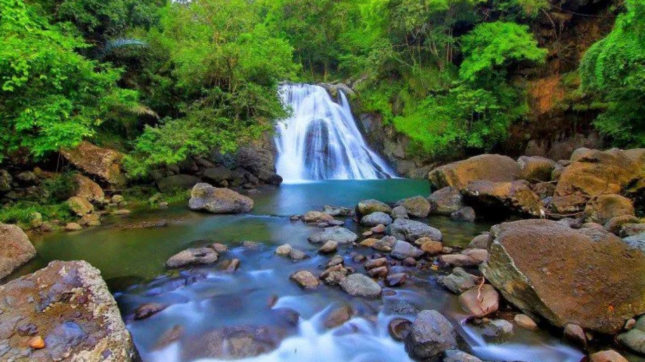 Wisata Alam Lewaja