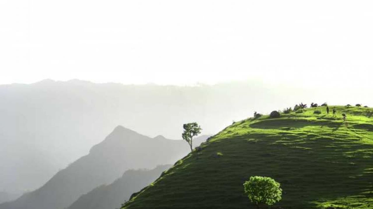 Bukit Miallo