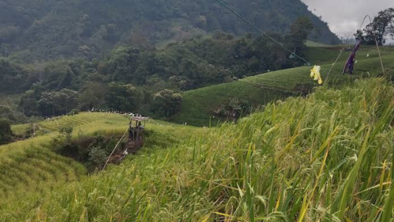 Panorama Alam Dusun Salongge