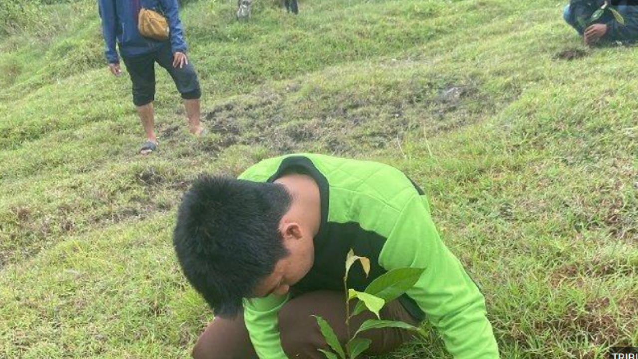Rayakan Milad Dua Tahun, Basmala Unimen Tanam Pohon di Mendatte Park Enrekang