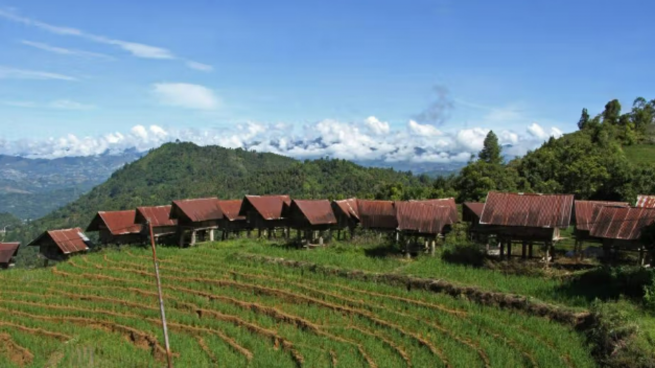 Potensi Pertanian dan Hortikultura