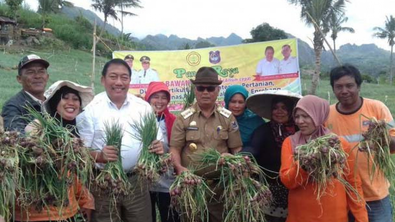 Pertanian dan Perkebunan