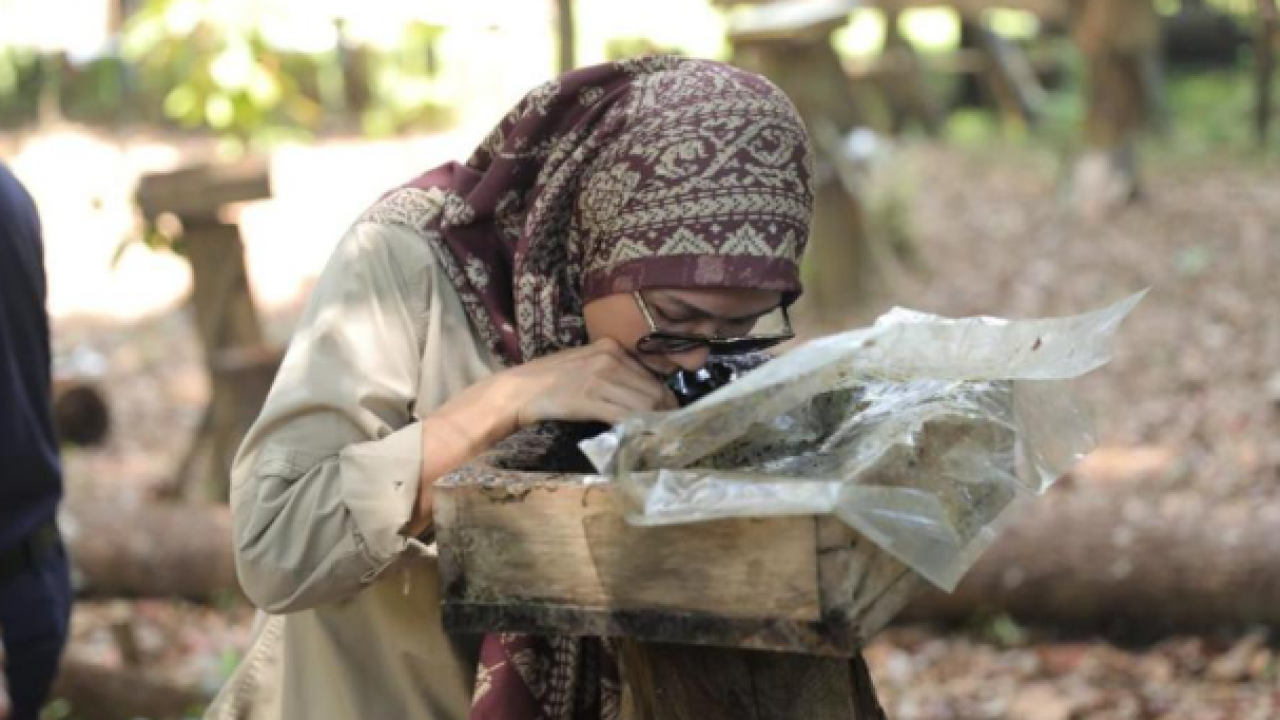 Ekowisata Madu Trigona