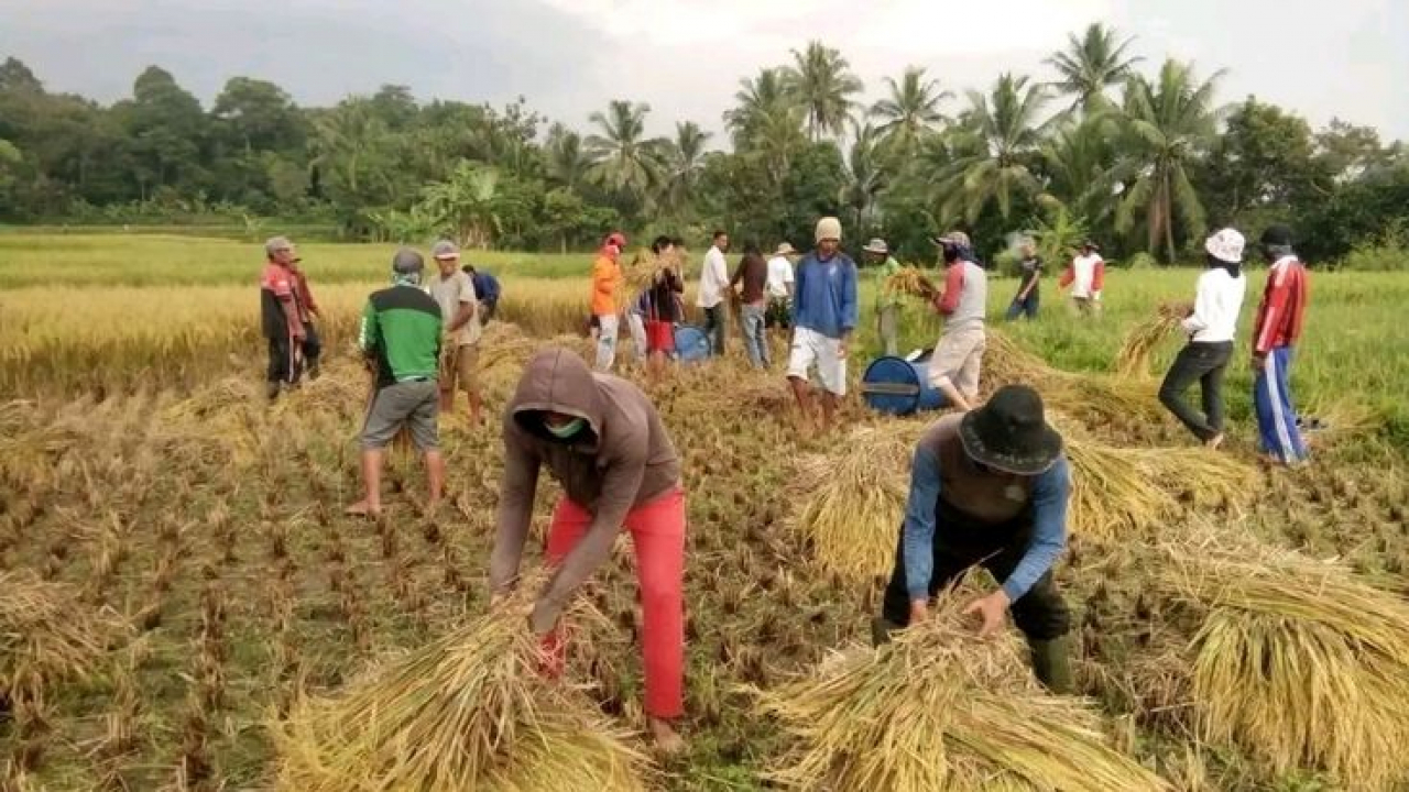 Kelembagaan dan Gotong Royong Sosial