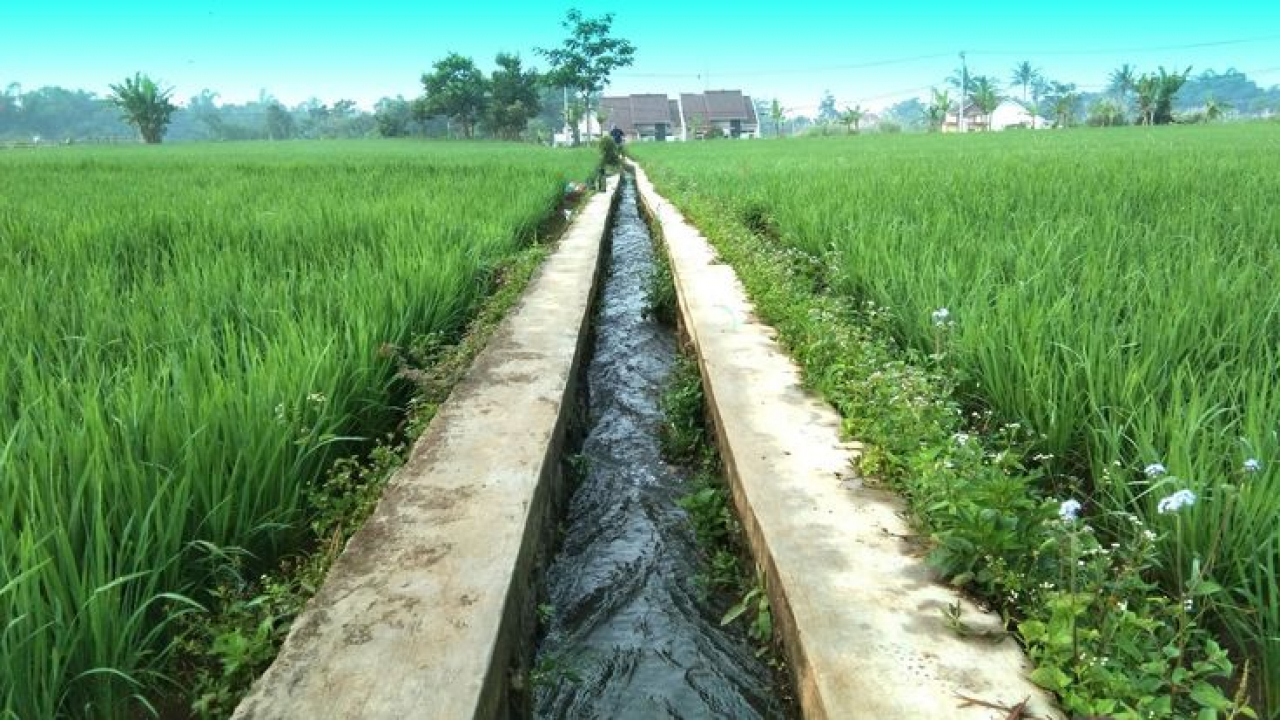 TALLUNG URA: Irigasi Dioptimalkan untuk Genjot Hasil Pertanian