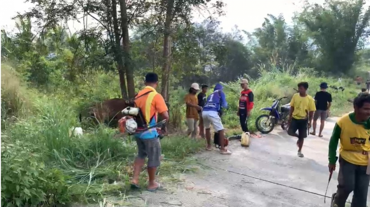 Gotong Royong Masyarakat Dulang