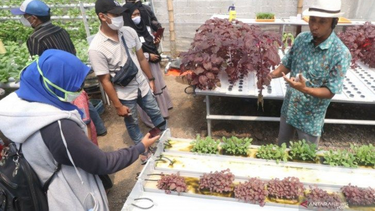 Potensi Sumber Daya Manusia