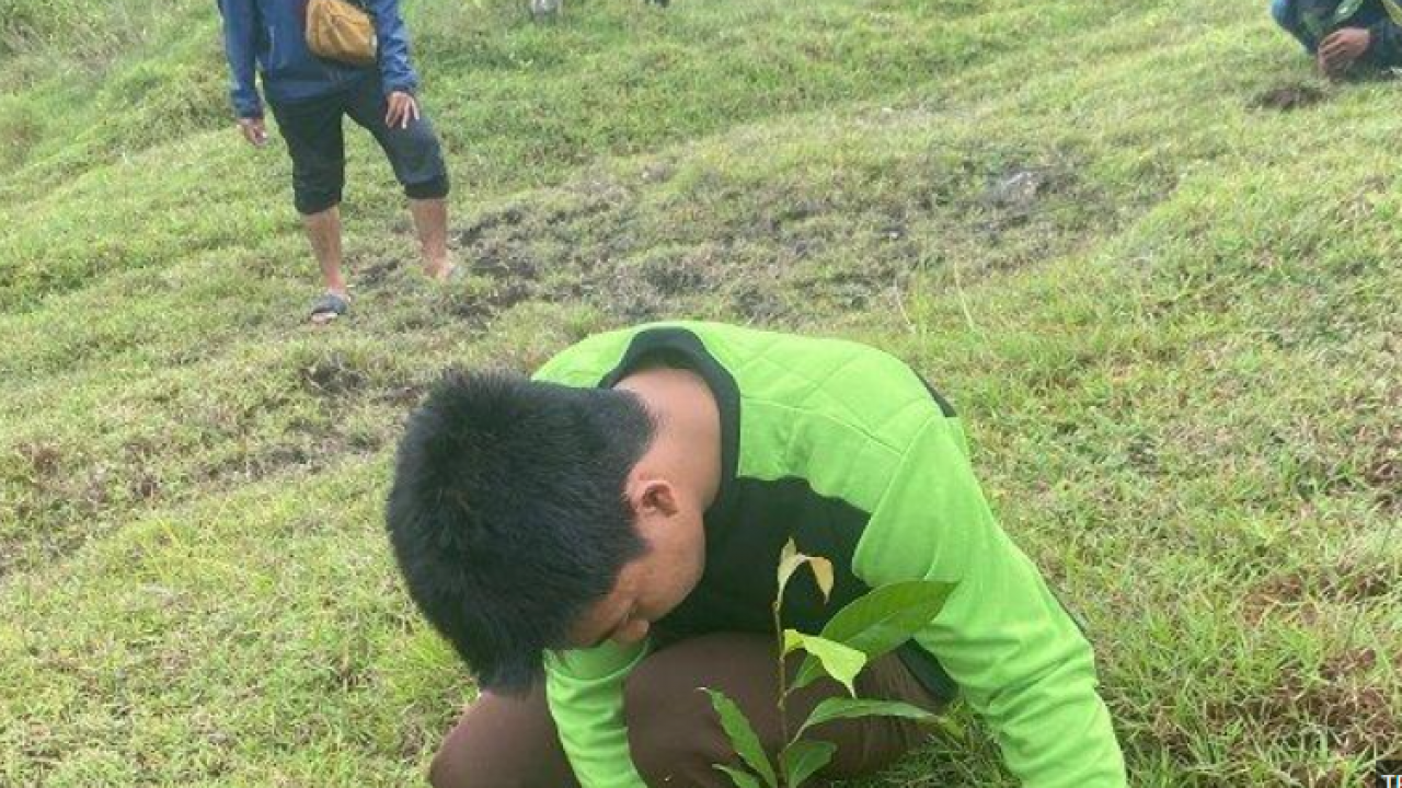 Rayakan Milad Dua Tahun, Basmala Unimen Tanam Pohon di Mendatte Park Enrekang