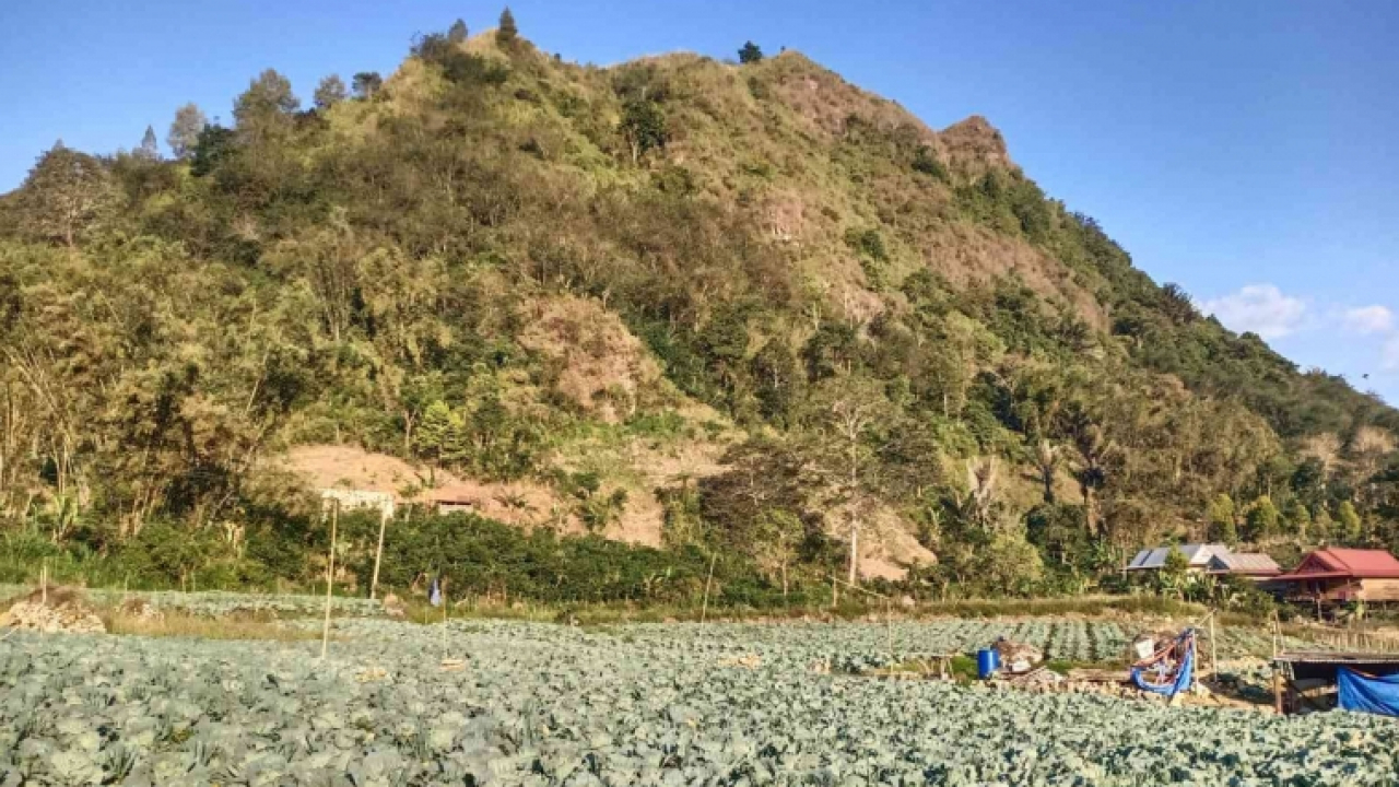 Perjalanan Ke Masalle, Salah Satu Kecamatan Penyuplai Sayur Nasional di Kabupaten Enrekang