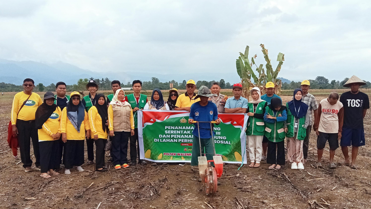 Penanaman Jagung Serentak Seluwu Raya di Desa Harapan