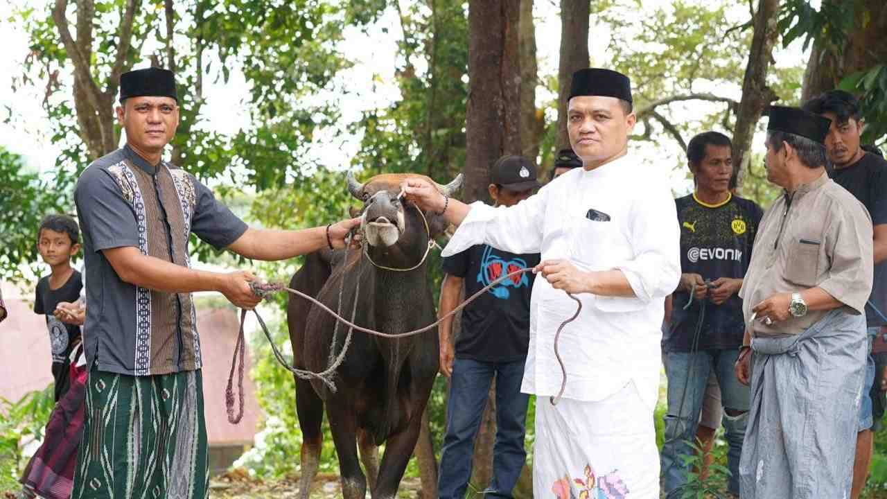 SERAHKAN HEWAN QURBAN