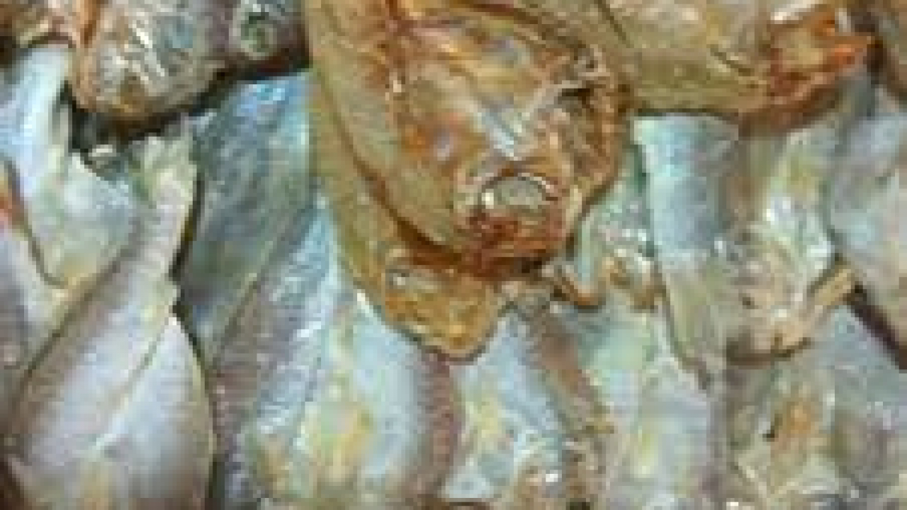 ikan kering