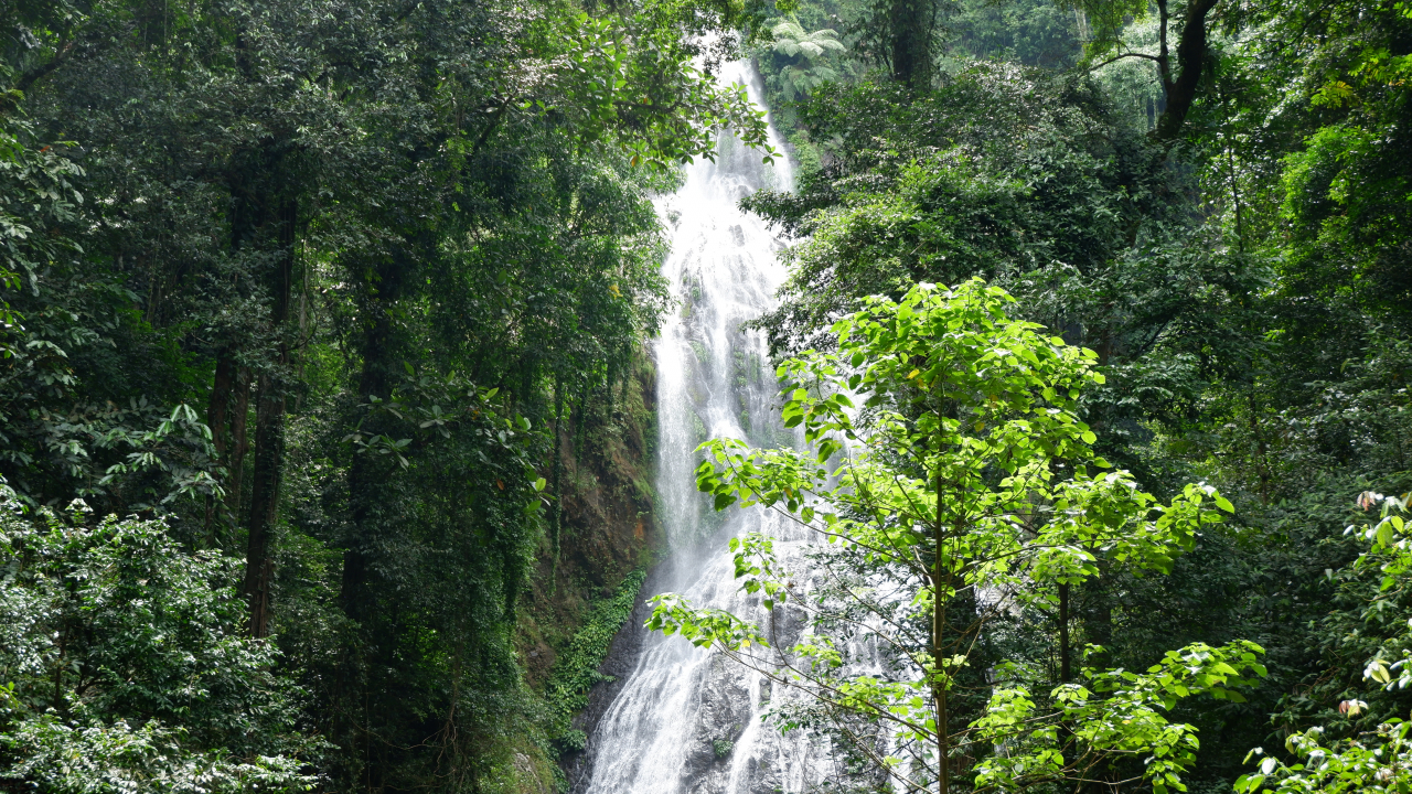 Air Terjun Proposoan