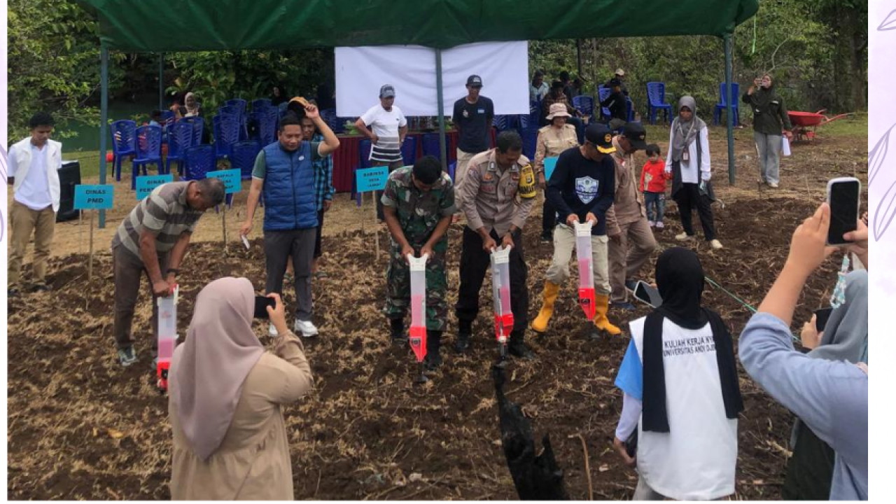 Penanaman Bibit Jagung BUMDES MAJU BERSAMA di Desa Laskap